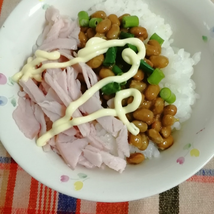 ハムとネギの納豆ご飯